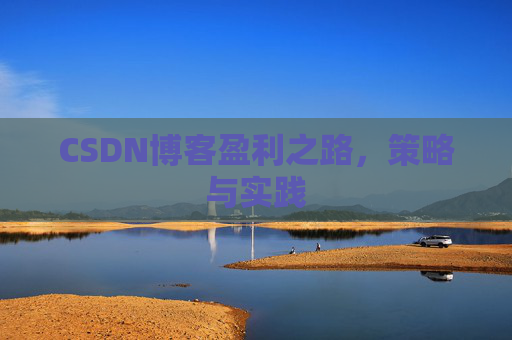 CSDN博客盈利之路,策略与实践